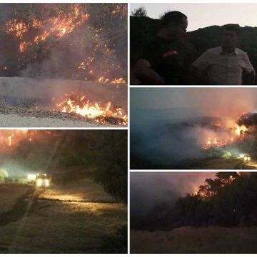 Incendie dans la forêt Aïn El-Karma à Bizerte : Plan régional de lutte contre les catastrophes activé