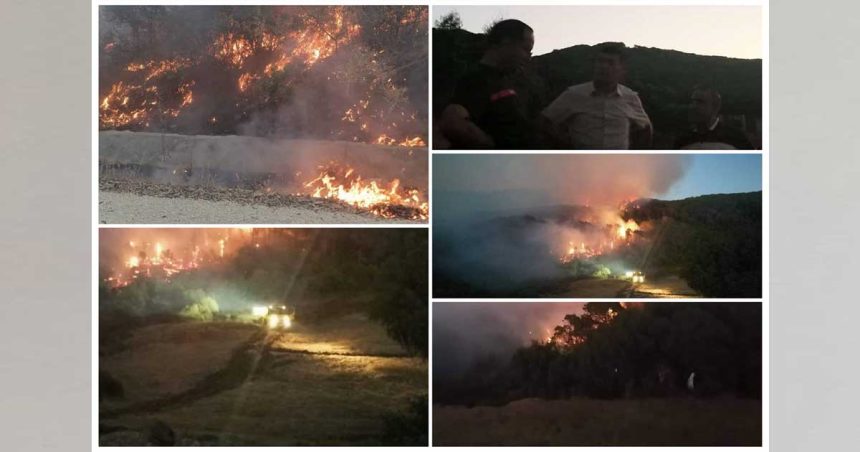 Incendie dans la forêt Aïn El-Karma à Bizerte : Plan régional de lutte contre les catastrophes activé
