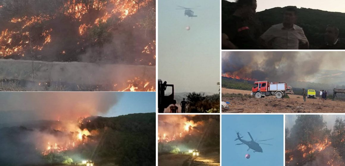 Bizerte : Après 30 heures de lutte, l’incendie de la forêt Ain El-Karma maîtrisé… des hectares ravagés par les flammes !
