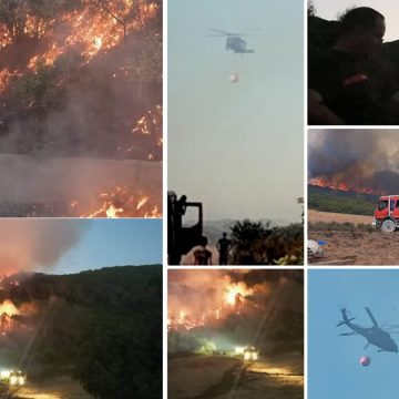 Bizerte : Après 30 heures de lutte, l’incendie de la forêt Ain El-Karma maîtrisé… des hectares ravagés par les flammes !