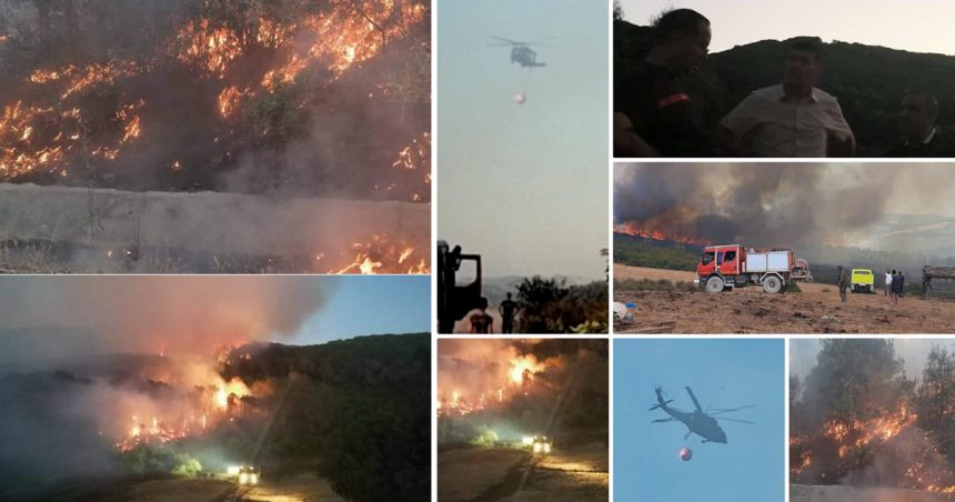 Bizerte : Après 30 heures de lutte, l’incendie de la forêt Ain El-Karma maîtrisé… des hectares ravagés par les flammes !