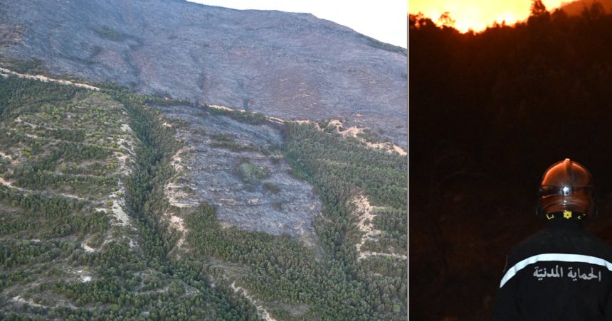 Tunisie-Jebel Boukornine : L’incendie maîtrisé en grande partie (Photos)
