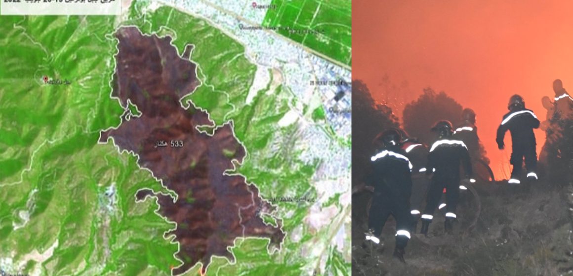 Incendie de Jebel Boukornine : 533 hectares ravagés par le feu (ministère de l’Agriculture)