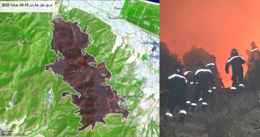 Incendie de Jebel Boukornine : 533 hectares ravagés par le feu (ministère de l’Agriculture)