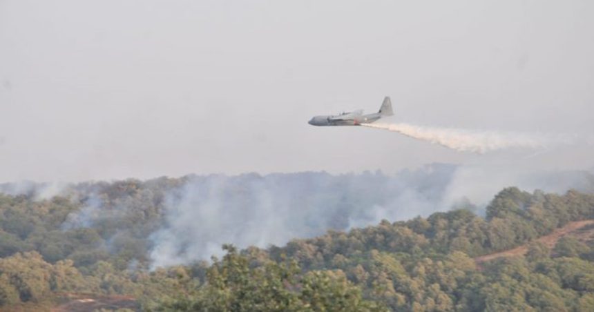 Tunisie-Incendies : Intervention de l’armée à Jebel Bargou
