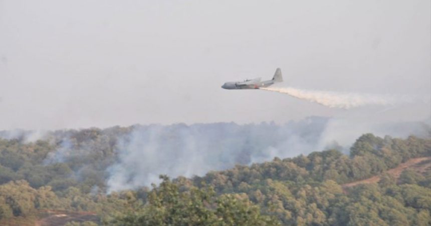 Tunisie – Ministère de la Défense : 40 vols pour maîtriser 90% de l’incendie de Jebel Boukornine