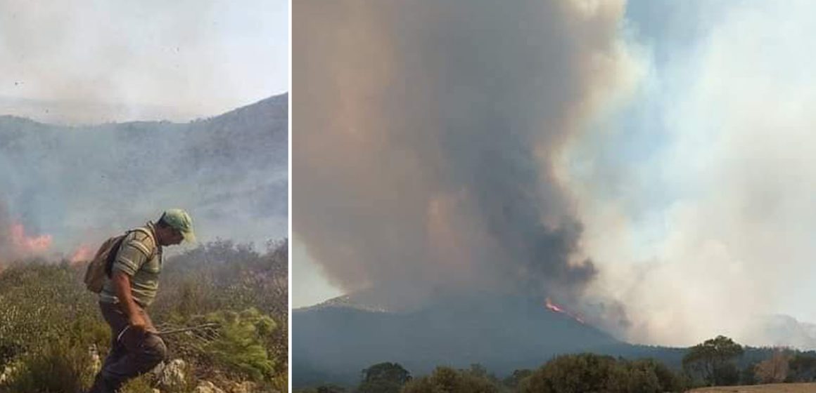 Siliana : L’incendie de Jebel Oued Malah maitrisé, deux hectares ravagés