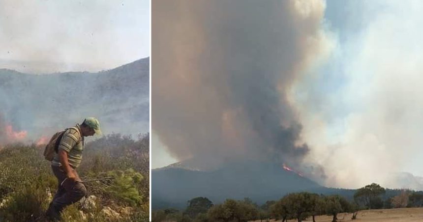 Siliana : L’incendie de Jebel Oued Malah maitrisé, deux hectares ravagés