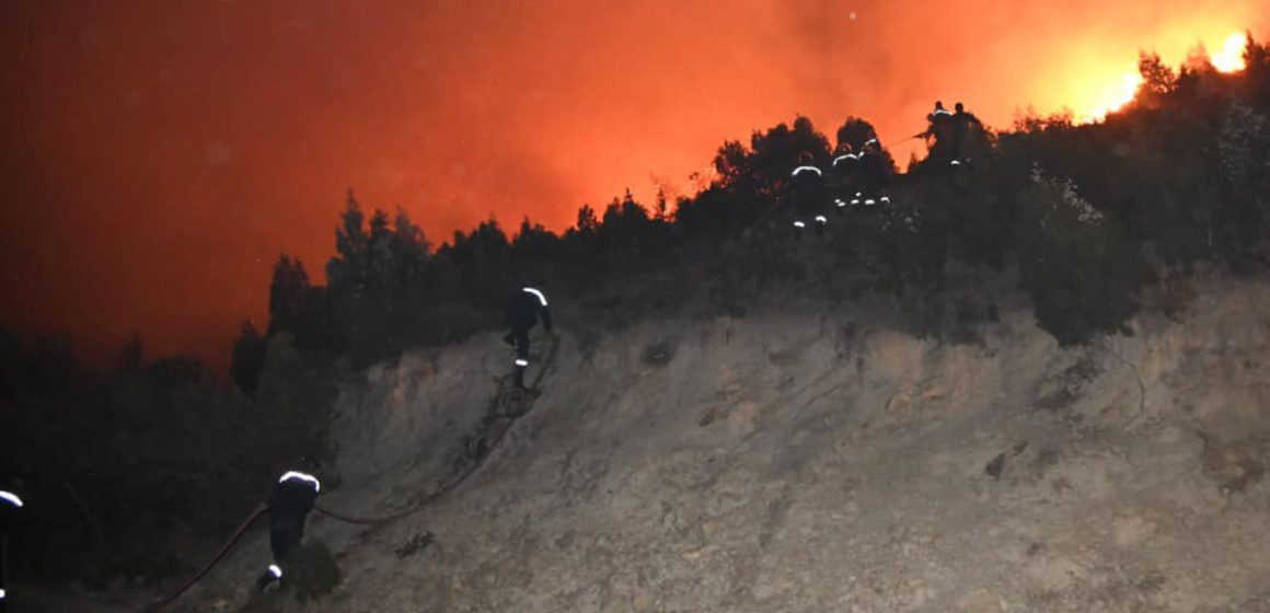 Tunisie : 118 incendies du 1er juin au 26 juillet, 2915 hectares ravagés par les flammes (Photos)