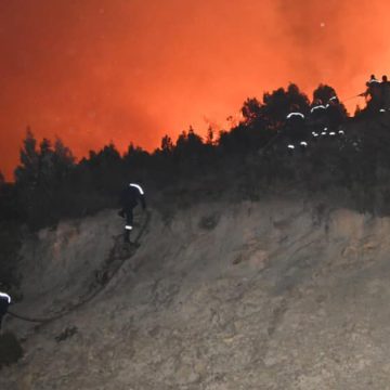 Tunisie : 118 incendies du 1er juin au 26 juillet, 2915 hectares ravagés par les flammes (Photos)