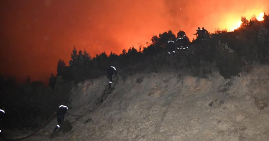 Tunisie : 118 incendies du 1er juin au 26 juillet, 2915 hectares ravagés par les flammes (Photos)