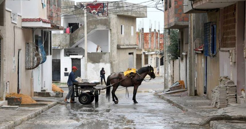 Tunisie – Zarzouna : Un jeune homme tue son ami