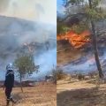 Incendie à Béja : Les opérations d’extinction se poursuivent à Jebel Bahloul