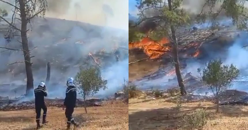 Incendie à Béja : Les opérations d’extinction se poursuivent à Jebel Bahloul