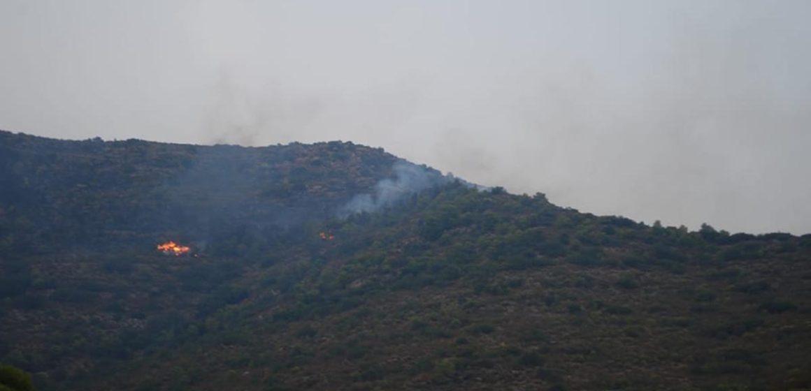 Incendie à Jebel Chehib (Siliana) : 20 hectares ravagés par les flammes