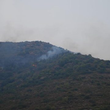 Incendie à Jebel Chehib (Siliana) : 20 hectares ravagés par les flammes