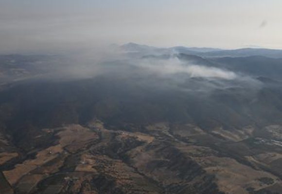 Incendie à Jebel Sidi Nouri à Zaghouan : Les opérations d’extinction se poursuivent (Photos)