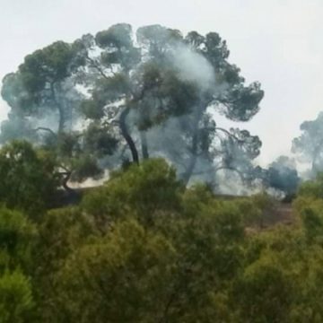 Tunisie – Zaghouan : L’incendie au Jebel Sidi Zid grandement maîtrisé