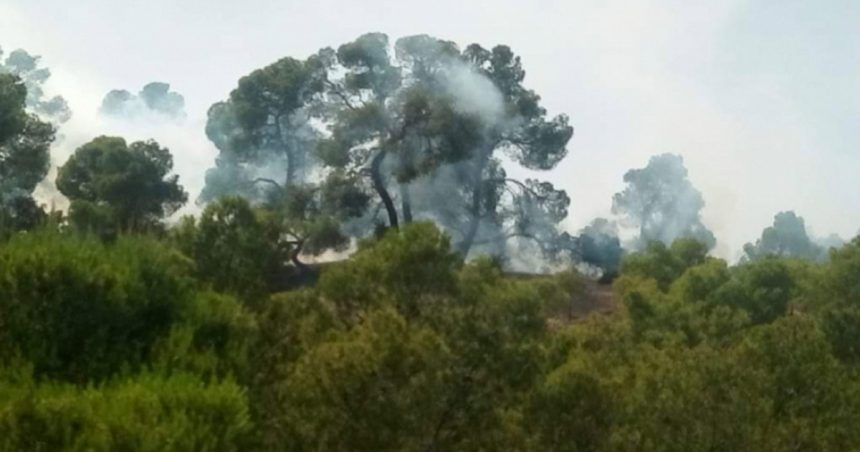 Tunisie – Zaghouan : L’incendie au Jebel Sidi Zid grandement maîtrisé