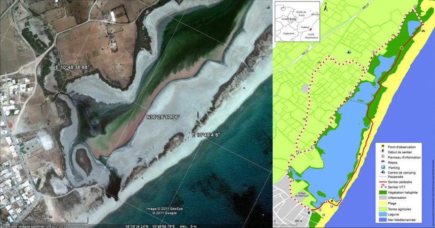Nabeul : le projet de protection de Maamoura suscite des craintes