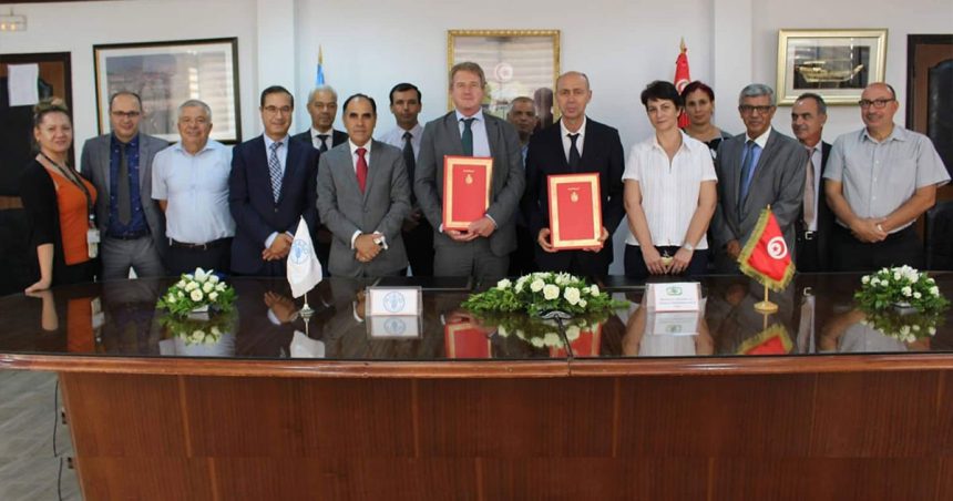 Les orientations de la politique agricole de la Tunisie pour la période 2022 à 2025