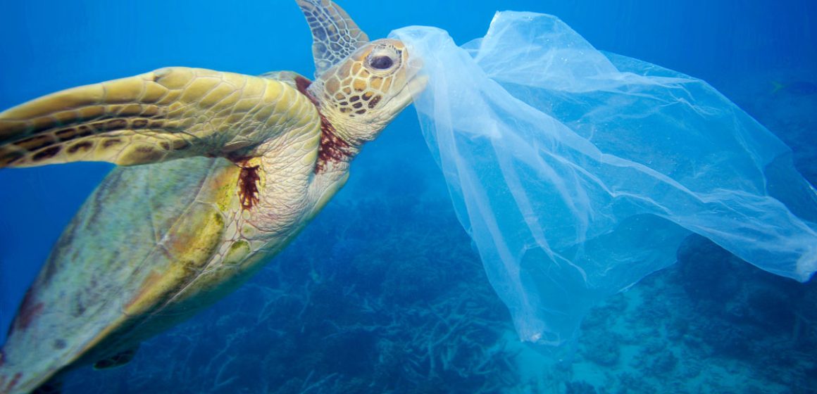 La Tunisie interdit la fabrication de certains types de sacs en plastique
