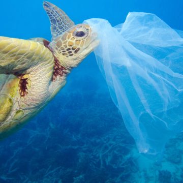 La Tunisie interdit la fabrication de certains types de sacs en plastique