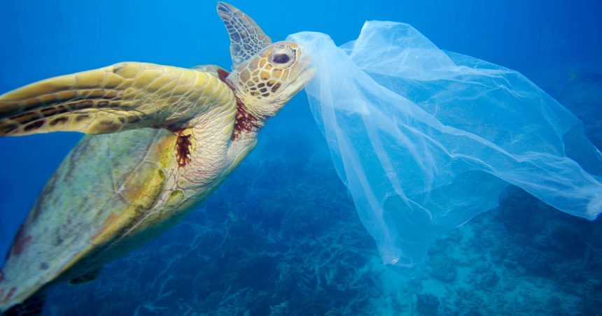 La Tunisie interdit la fabrication de certains types de sacs en plastique