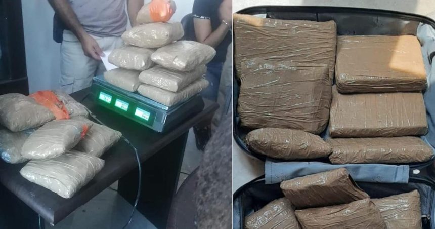 Tunisie : Saisie de 14,45 kilos de cocaïne au port de Zarzis (Douane)