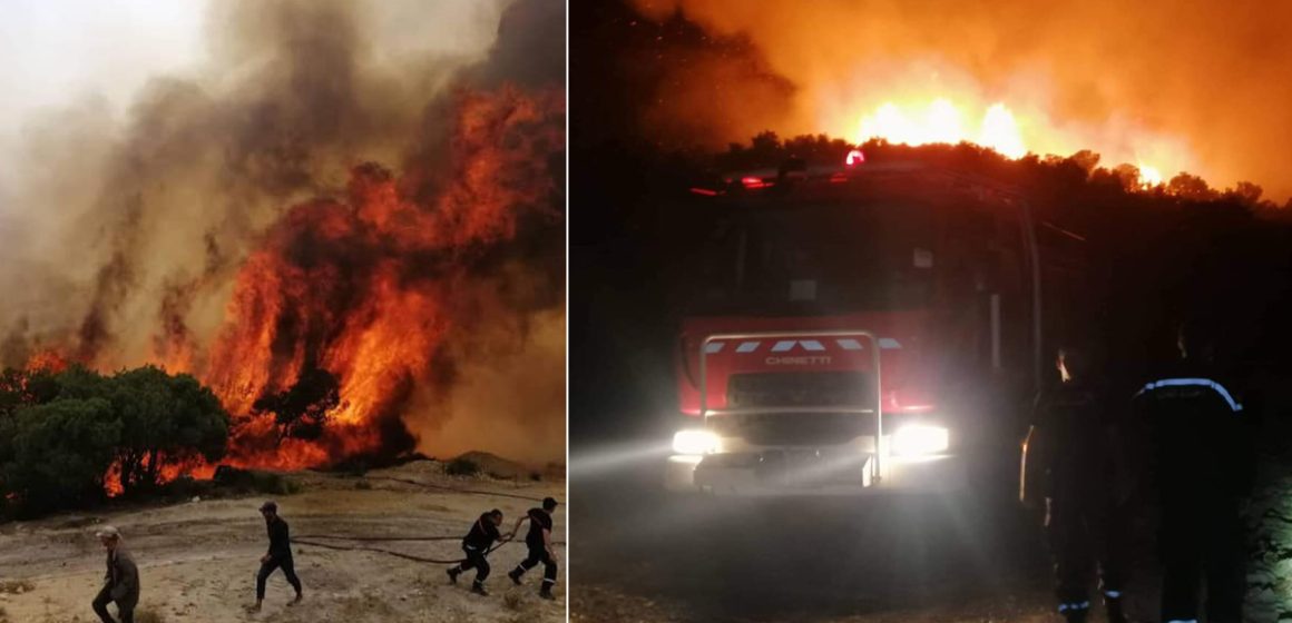Tunisie : Maîtrise de l’incendie qui s’est déclaré sur les hauteurs de Mornag (Photos)