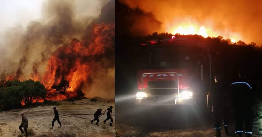 Tunisie : Maîtrise de l’incendie qui s’est déclaré sur les hauteurs de Mornag (Photos)