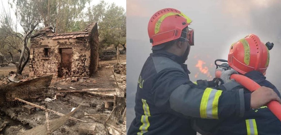 Tunisie : Série d’incendies sur les hauteurs de Jendouba, des habitants évacués (Photos)