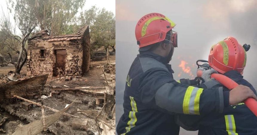 Tunisie : Série d’incendies sur les hauteurs de Jendouba, des habitants évacués (Photos)