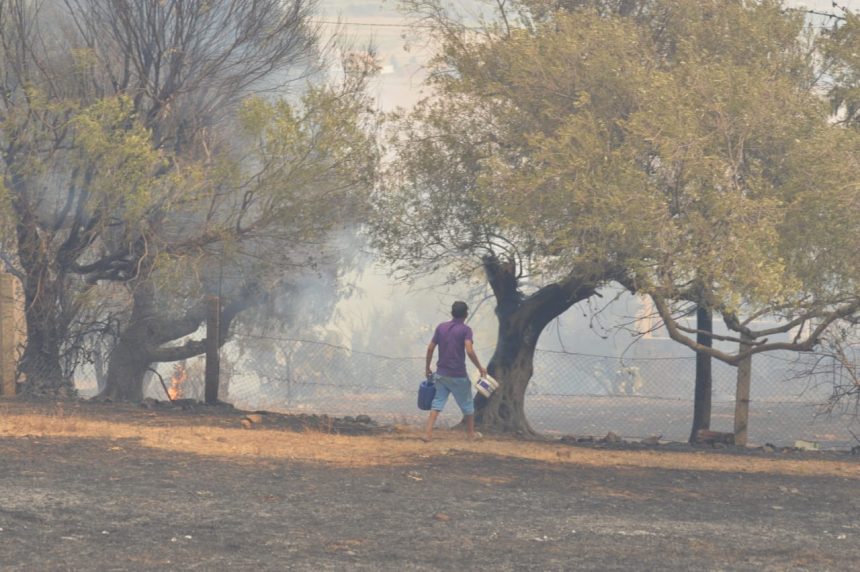 Tunisie : Les incendies à Jendouba maîtrisés à 80%