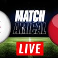 Algérie vs Guinée en live streaming : match amical 2022