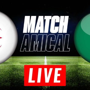 Algérie vs Nigéria en live streaming : match amical 2022