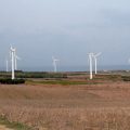 La Tunisie peut produire 2 GW d’énergie éolienne d’ici 2030