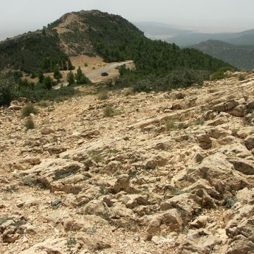 Explosion d’une mine à Jebel Mghila (Kasserine) : Une femme de 28 ans amputée d’une jambe