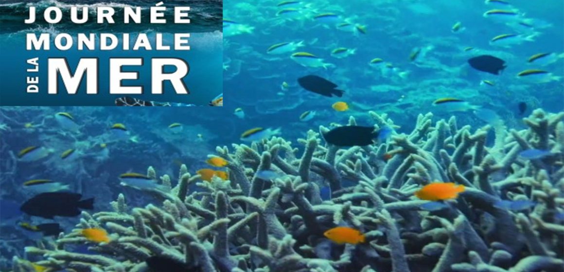Tunis – Journée mondiale de la mer : La protection maritime, un défi environnemental et économique
