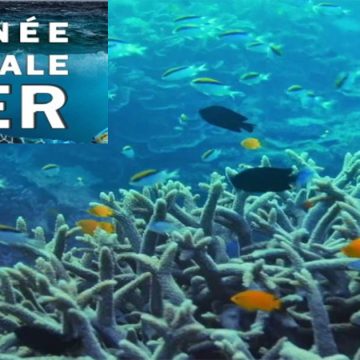 Tunis – Journée mondiale de la mer : La protection maritime, un défi environnemental et économique