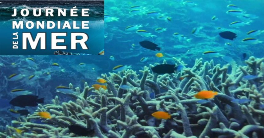 Tunis – Journée mondiale de la mer : La protection maritime, un défi environnemental et économique