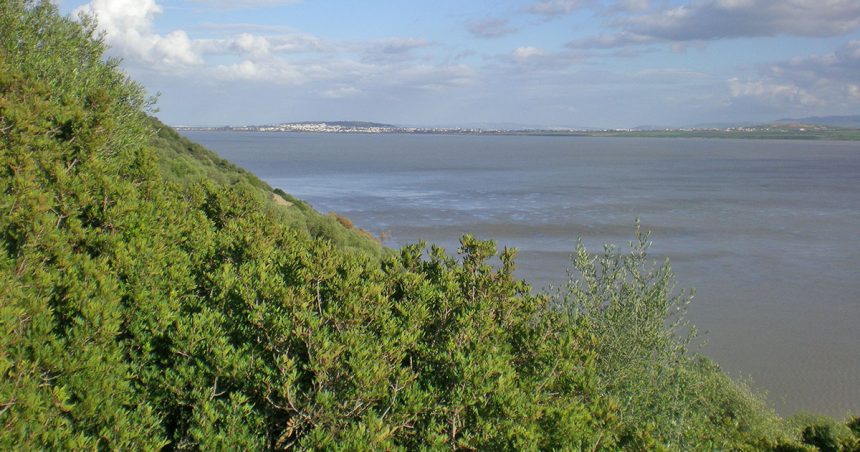 La Tunisie doit mieux protéger ses zones humides essentielles à la biodiversité 