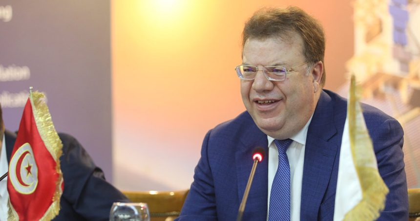 Réseaux d’envoi de Tunisiens vers des zones de conflit : Mohamed Frikha maintenu en liberté