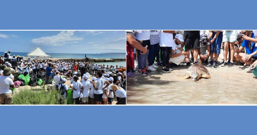 Tunisie  : six tonnes de déchets collectés en une journée au Cap Zebib