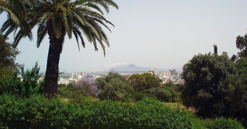 Tunis : le braqueur du Belvédère entre les mains de la police