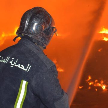 Été 2022 : Les incendies ont détruit 5900 hectares de forêts en Tunisie