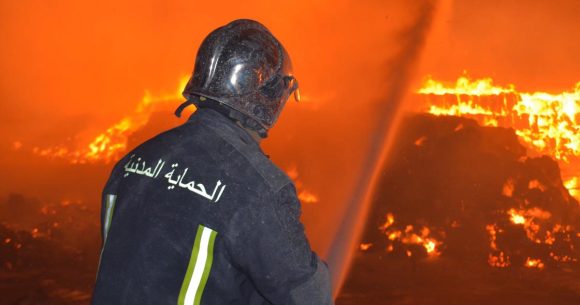 Incendie à Jebel Bargou : Les flammes ravagent 1,5 hectares d’arbres