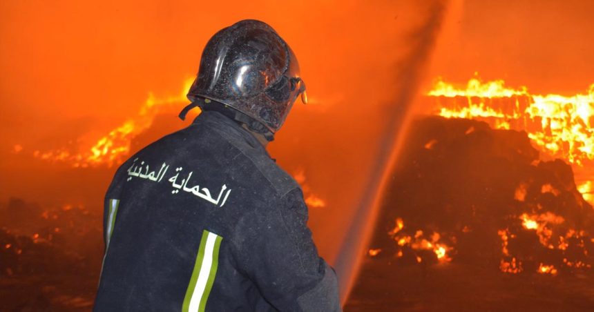 Incendie à Tozeur | Près de 300 palmiers ravagés par le feu