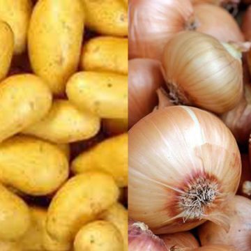 Tunisie : Le ministère du Commerce fixe les prix des pommes de terre et des oignons