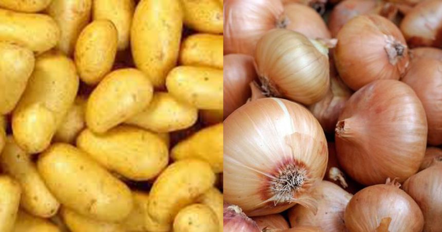Tunisie : Le ministère du Commerce fixe les prix des pommes de terre et des oignons